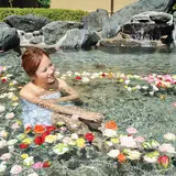 大子温泉保養センター森林の温泉