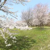 市民の森 学習管理棟「木々」