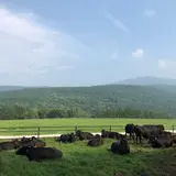朝日の丘公園