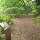 血洗いの池