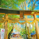 中山神社