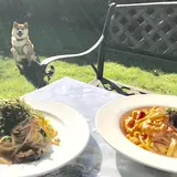 カフェ＆レストラン周