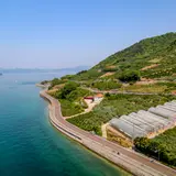 生口島