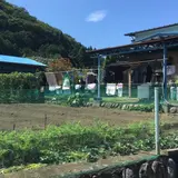 オートボディ・スギモト