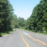 フルーツライン