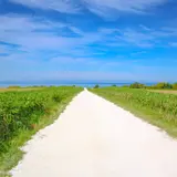 白い貝殻の道