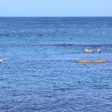 金田ノ岬