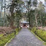 地蔵院（竹の寺）