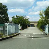 阪神競馬場