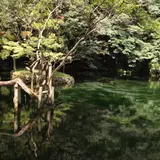 出流原弁天池