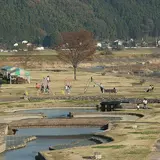 水辺公園（ジョイフルブルーパーク）