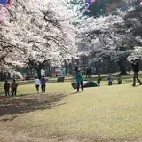 黒磯公園