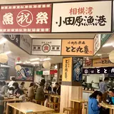 小田原漁港 とと丸食堂
