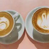 anthrop