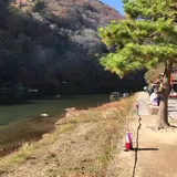 亀山公園