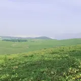 ビーナスライン