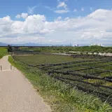 流れ橋（上津屋橋）