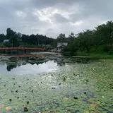 上野池