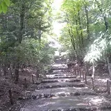 常照皇寺