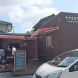 カカオ研究所