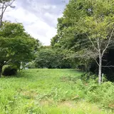 殿町公園