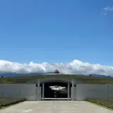 頭大仏（真駒内滝野霊園）