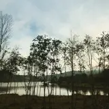 白樺湖ホテルパイプのけむり