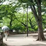 井の頭公園