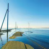 長部田海床路