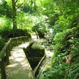 大楠山