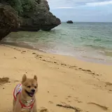 石垣島サンセットビーチ