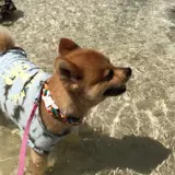 カイジ浜