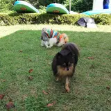 Spesアクティビティ那須