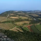 字江城城趾