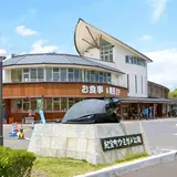 道の駅紀宝町ウミガメ公園