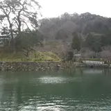 鹿野城跡公園