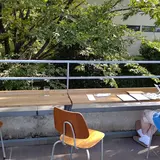 Zelkova Coffee