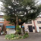 濃姫 遺髪塚