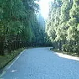武蔵陵墓地