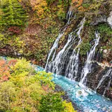 白ひげの滝