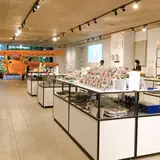 TAKEOFF-SITE