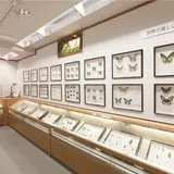 昆虫の家・頑愚庵