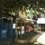 初清園