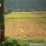 余呉駅