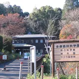 多摩森林科学園