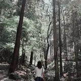 天拝山歴史自然公園