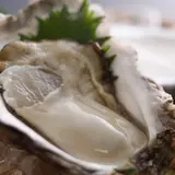 横丁 いかだ荘
