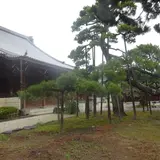 成信坊