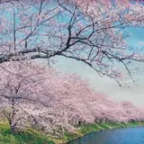 福岡堰