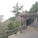 五本松展望台